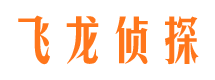 金家庄侦探